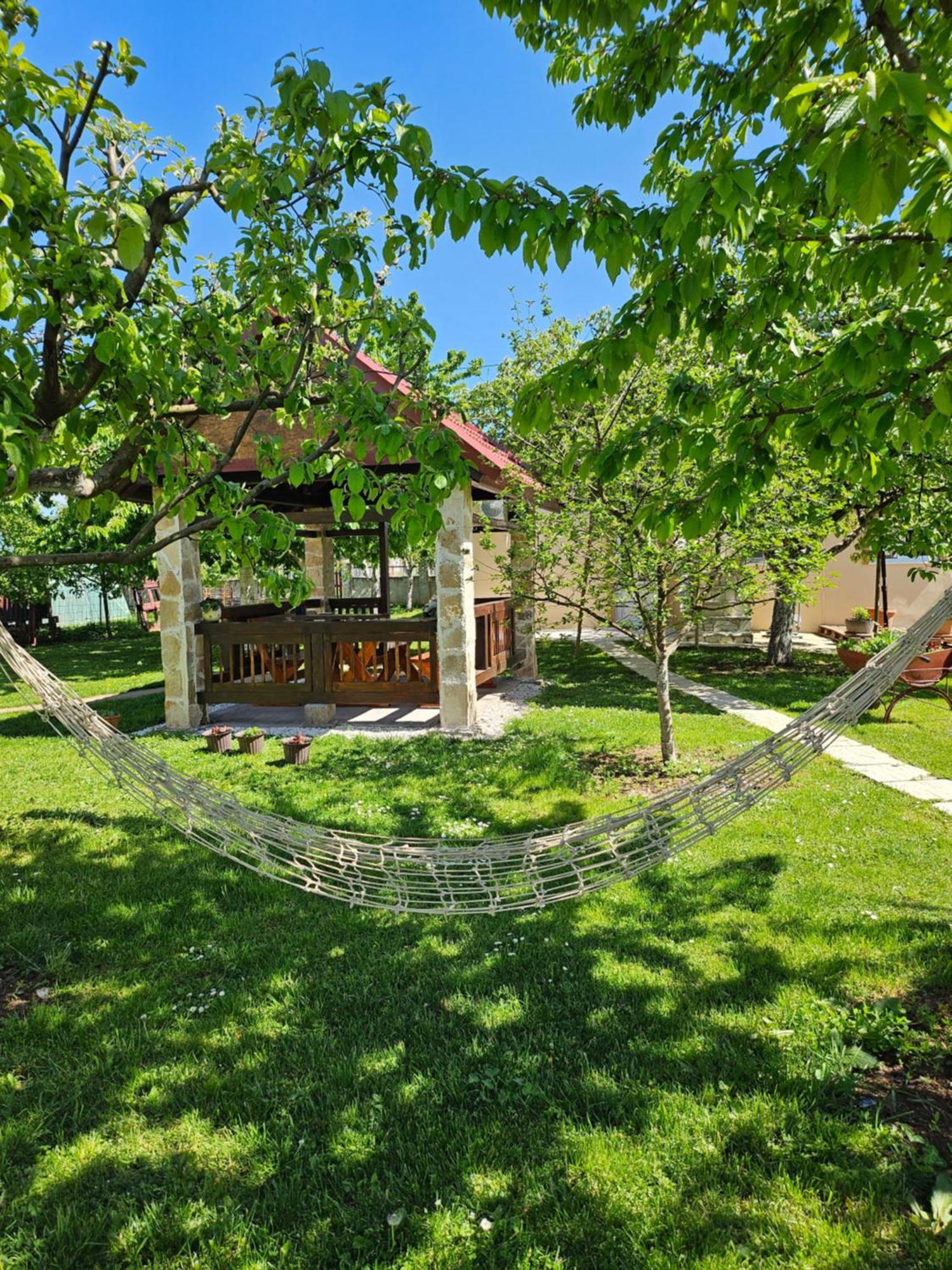 Calm Nest Apartment Niksic Exterior photo